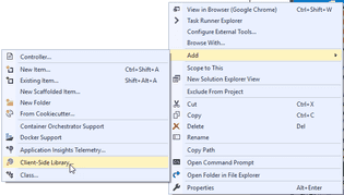 Installing Client Side Libraries in Asp.Net Core | The Long Walk